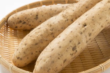 Yam　Too long　Chinese yam　　Wild yam